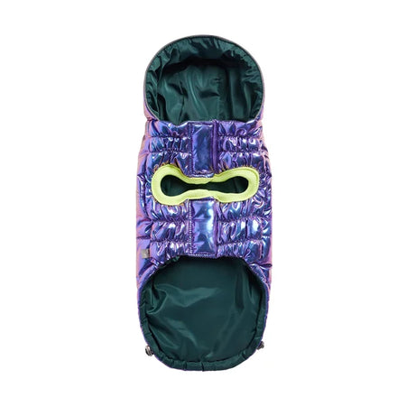 Purple and green dog coat with a hood on a white background
