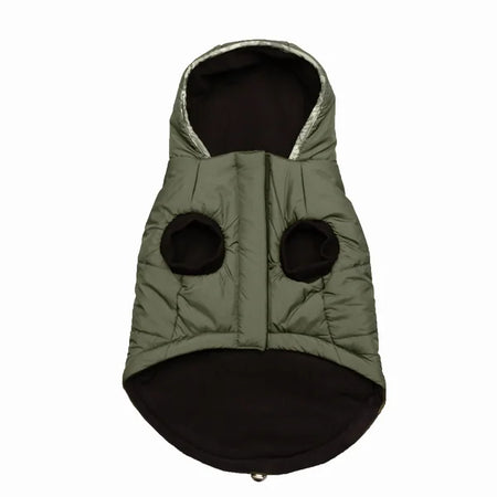 Green dog coat with black accents on a white background