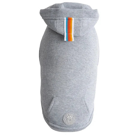 Gray dog hoodie with colorful stripe on a white background