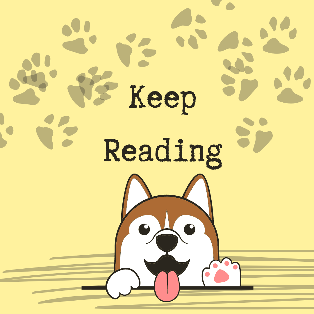 Welcome to Dog Store Online's First Doggie Dispatch