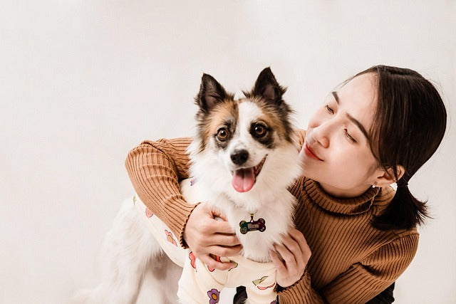 🤗 Hug Your Hound & Pet Memorial Day – September 14
