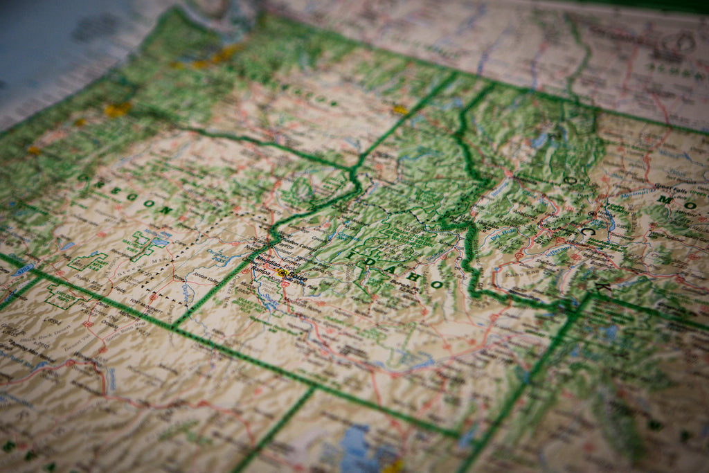 Celebrating Idaho Day: Exploring the Gem State with Your Dog!