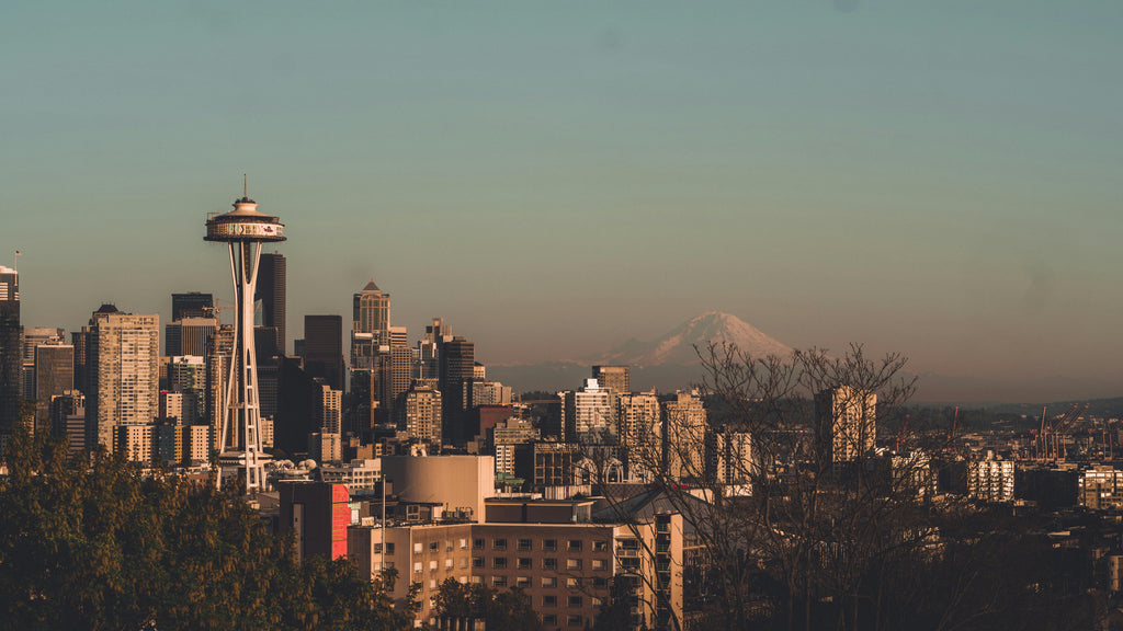 Celebrating Washington State Day: Exploring the Evergreen State with Your Dog!