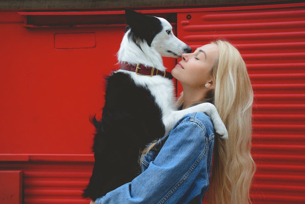 Celebrating Love Your Pet Day: Show Your Dog Some Extra Love!