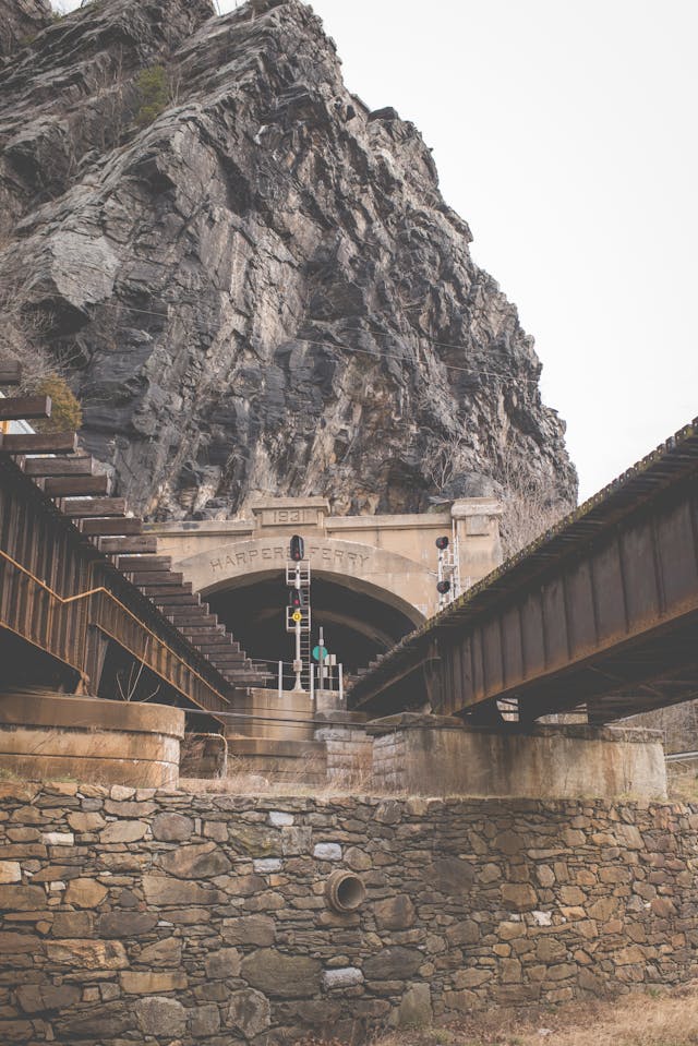 Celebrating West Virginia Day: Adventures with Your Dog in the Mountain State!