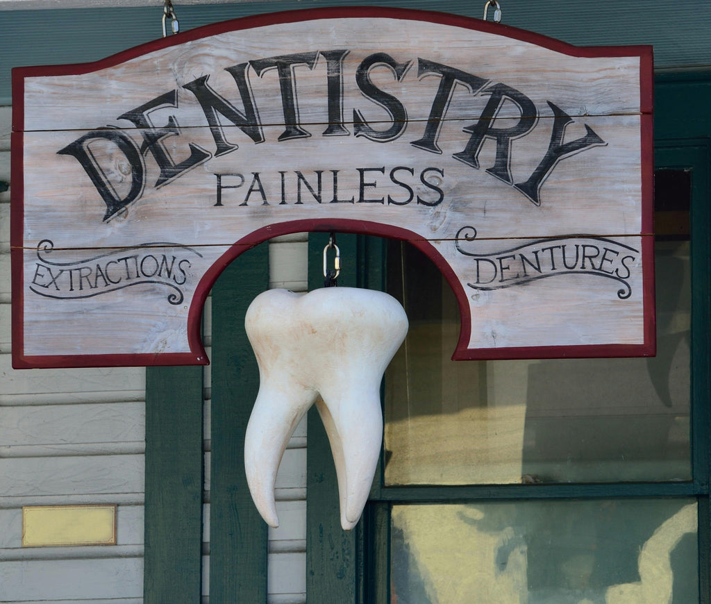 May is Dental Care Awareness Month: Why Your Dog’s Oral Health is So Important