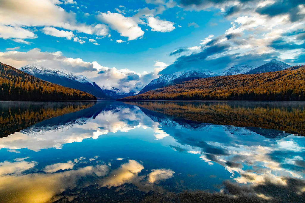 Celebrating Montana Day: Adventures with Your Dog in the Big Sky Country!