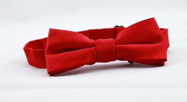 🎀 National Bow Tie Day – August 28