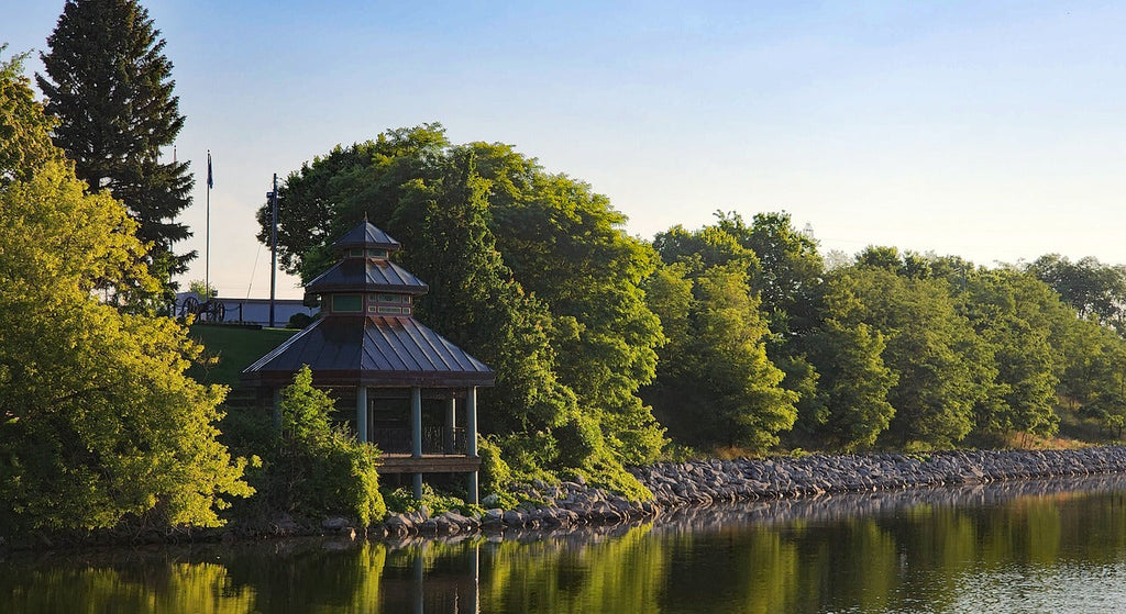 Celebrating Michigan Day: Discover the Great Lakes State with Your Dog!