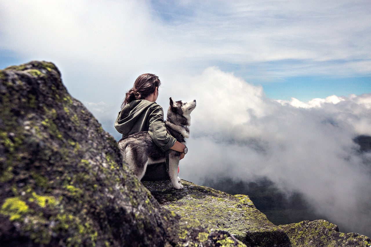 dog with a woman, on an adventure