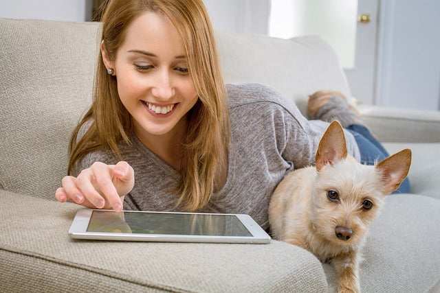 🐶 Take Your Dog to Work Day – June 20 - woman working on her tablet on couch with dog