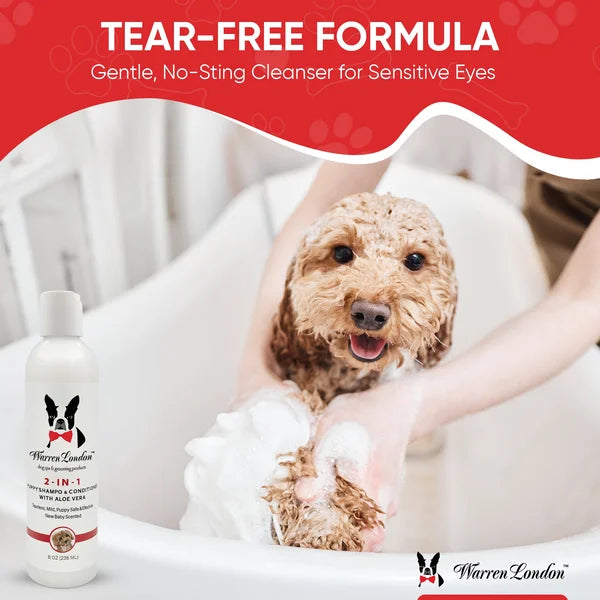 Dog being bathed with a Warren London product, featuring a tear-free formula for sensitive eyes.