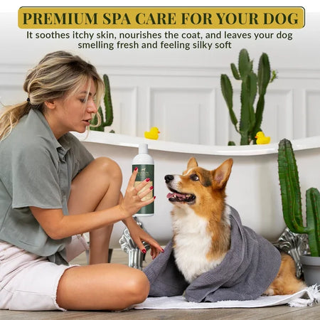 Woman with a dog in a spa setting with text about premium spa care for dogs.