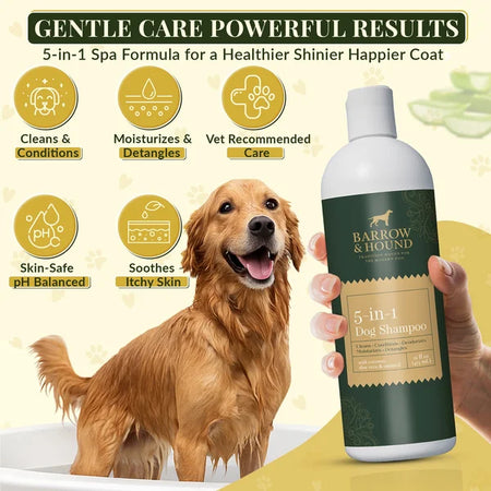Dog shampoo bottle with a Golden Retriever and product features on a green background