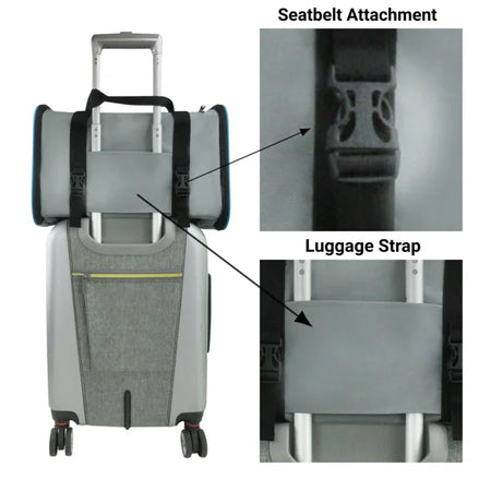 Gray suitcase with seatbelt attachment and close-up of strap on a white background