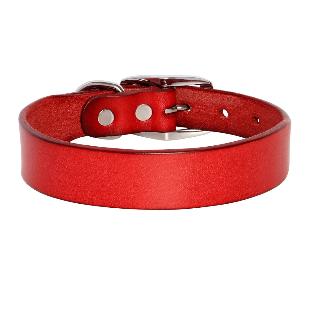 Adjustable_Leather_Dog_Collar_Leash_Set_red_collar