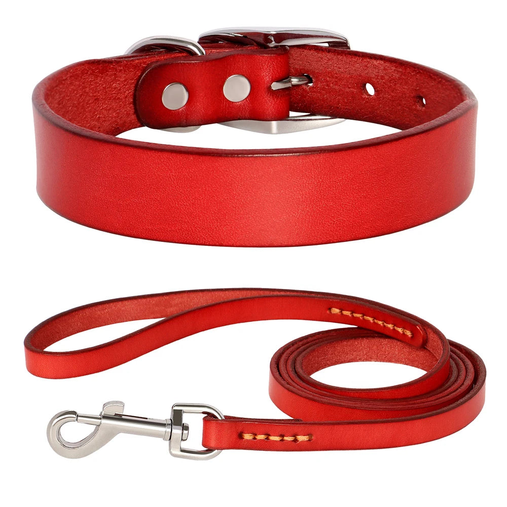 Adjustable_Leather_Dog_Collar_Leash_Set_red_set