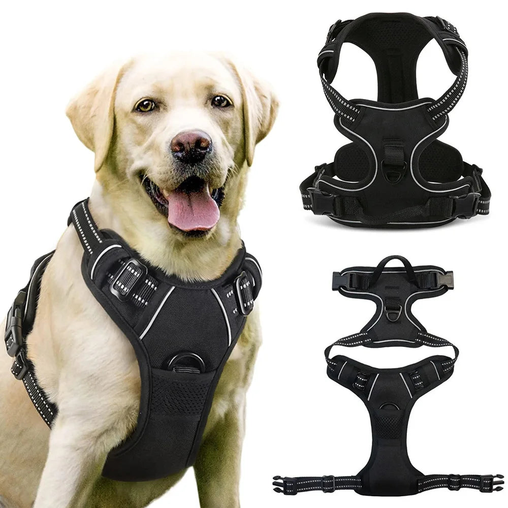 Anti-Pull_Dog_Harness_on_dog_with_front_and_back