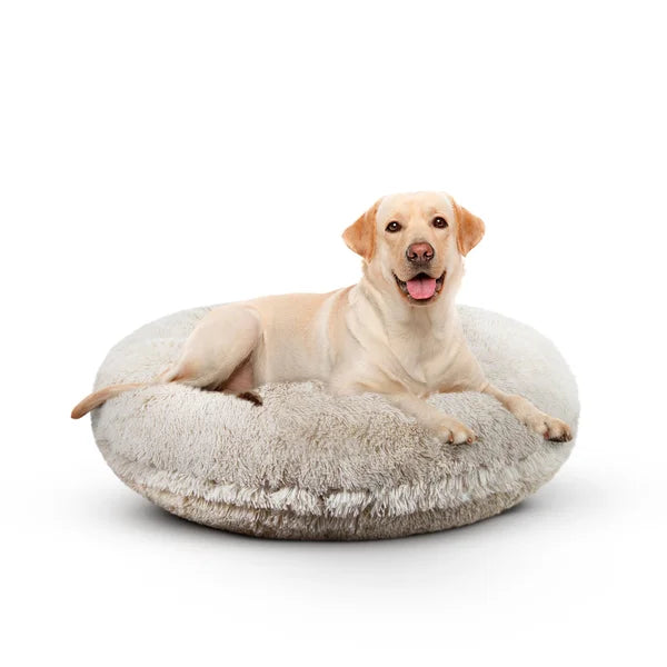 DogStoreOnline LLC