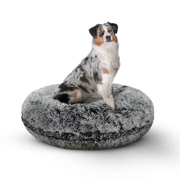 DogStoreOnline LLC