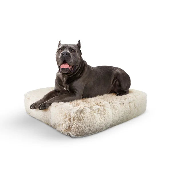 Dog lying on a fluffy beige pet bed with a white background