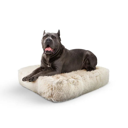 Dog lying on a fluffy beige pet bed with a white background
