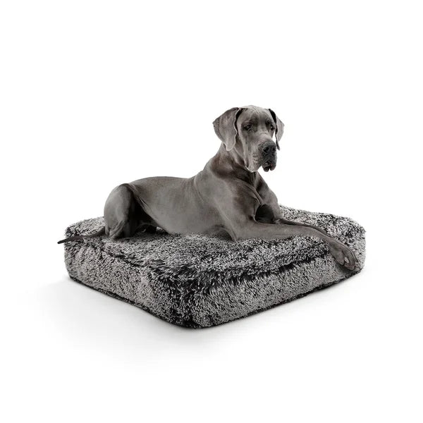 Dog lying on a fluffy gray pet bed against a white background
