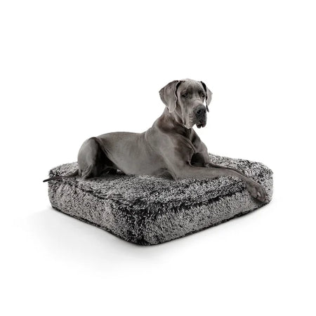 Dog lying on a fluffy gray pet bed against a white background