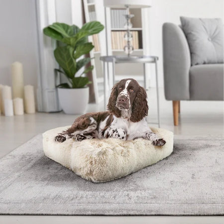 Dog lying on a fluffy pet bed in a modern living room.