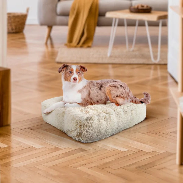 Dog lying on a fluffy pet bed in a cozy living room.