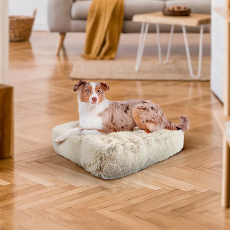 Dog lying on a fluffy pet bed in a cozy living room.