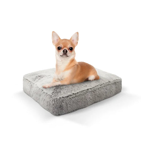 Small dog lying on a fluffy gray pet bed against a white background