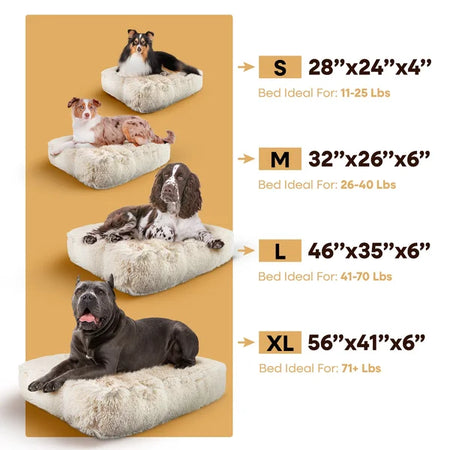 Dog beds of different sizes with dimensions and weight ranges on a beige background
