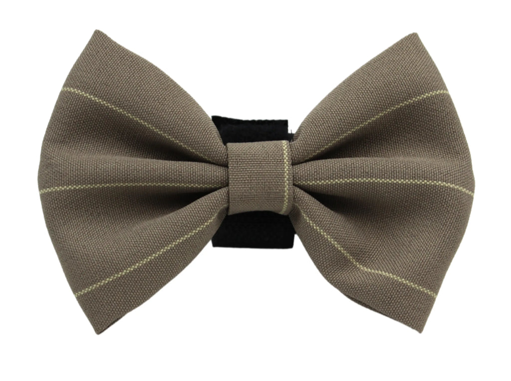 Boy Vintage Stripe Bowtie for Dogs - Pets Ribbons