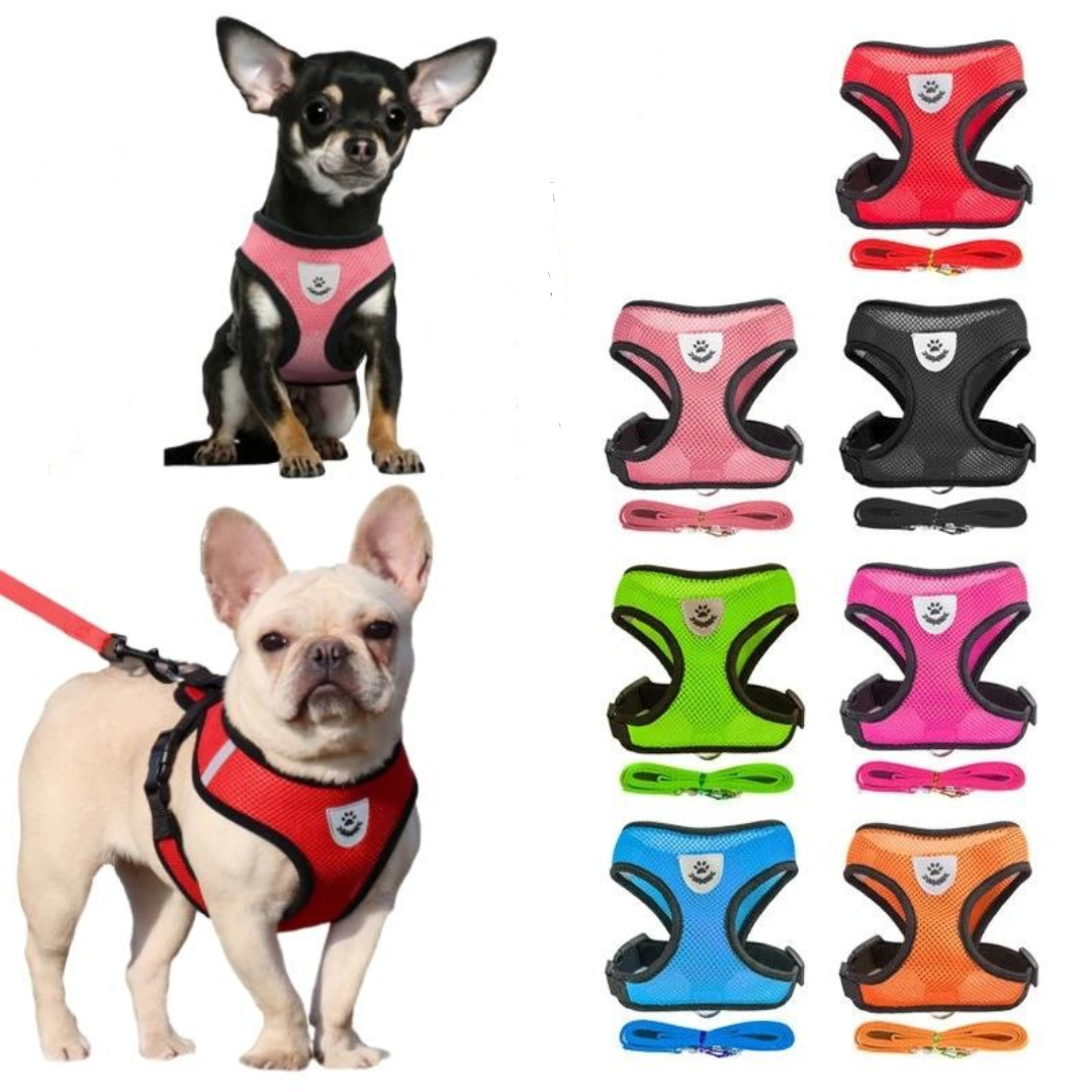 Two small dogs are next to eight sets of the Breathable Mesh Small Dog Harness & Leash Set, available in seven vibrant colors (red, pink, black, purple, orange, green, and blue), each presented in pairs with matching leashes. The top dog is a Chihuahua wearing a pink harness while the bottom dog is a French Bulldog wearing a red adjustable fit harness.