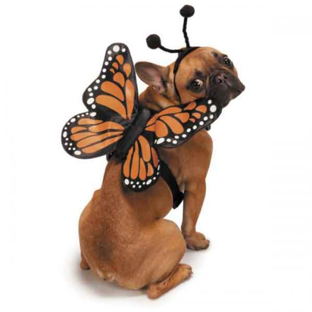 Butterfly Glow Dog Harness Costume - Zack and Zoey