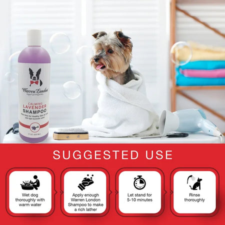 Dog wrapped in a towel with Warren London shampoo bottle, grooming tools, and suggested use instructions on a white background.