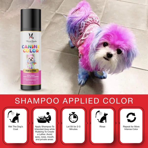 Dog with colorful fur next to a bottle of 'Canine Color' shampoo on a tiled floor.