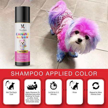 Dog with colorful fur next to a bottle of 'Canine Color' shampoo on a tiled floor.