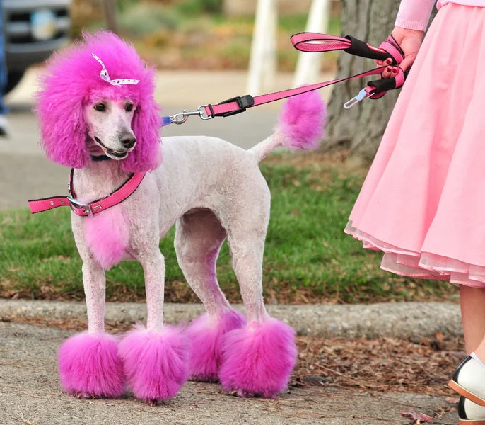 Dog with pink fur and a person in a pink skirt standing outdoors.