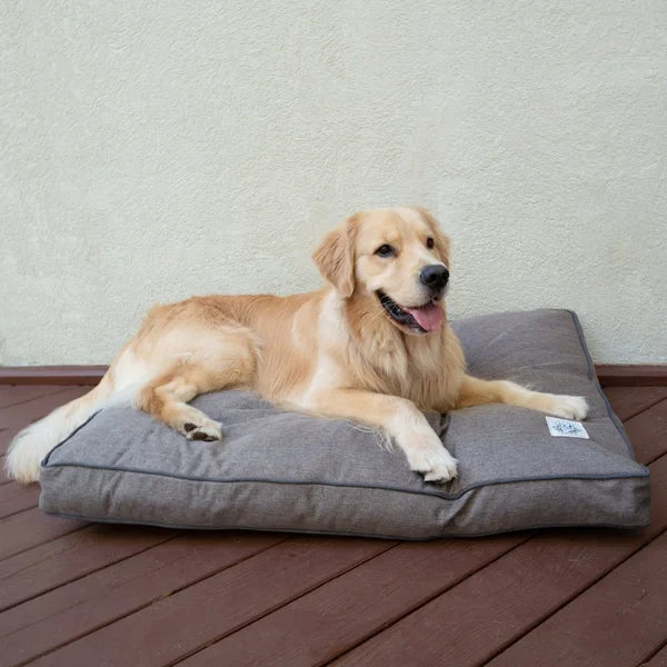 Dog lying on a gray pet bed with a wooden floor and light-colored wall background