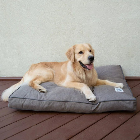 Dog lying on a gray pet bed with a wooden floor and light-colored wall background