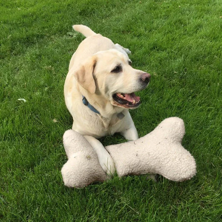 Dog sitting on grass with a large bone-shaped toy