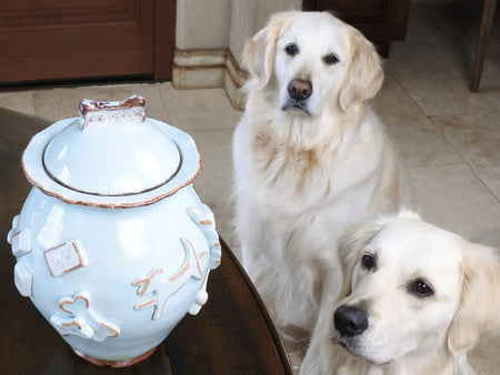 Ceramic Treat Jar for Dogs - Carmel Ceramica lifestyle