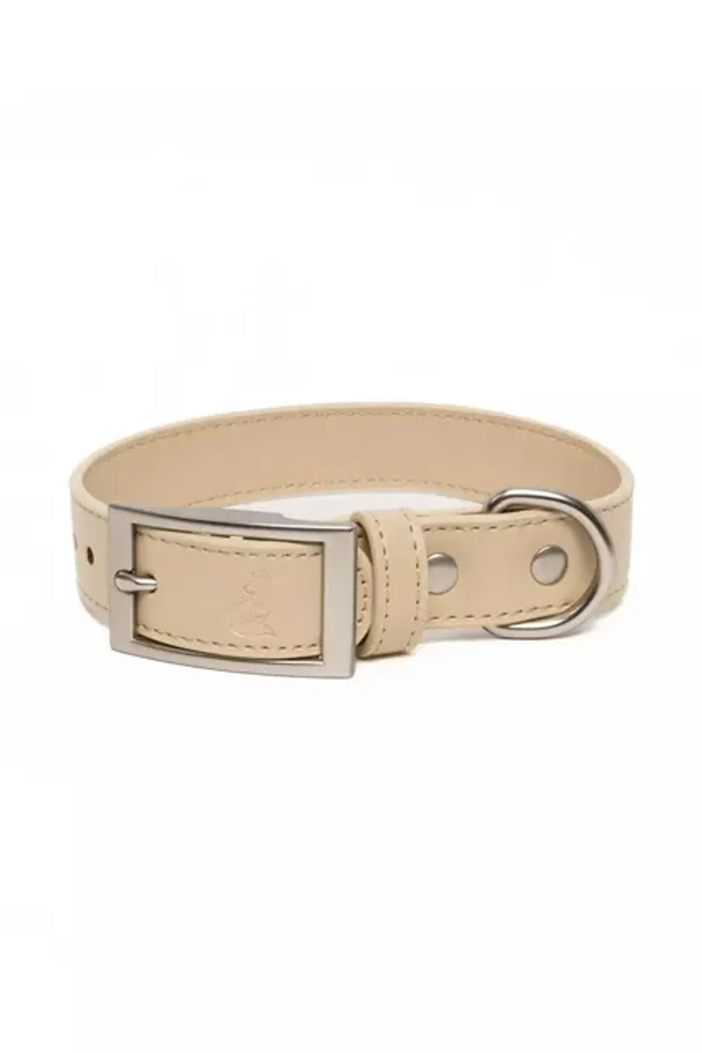Champagne Fizz Vegan Leather Dog Collar - Aria the Fox