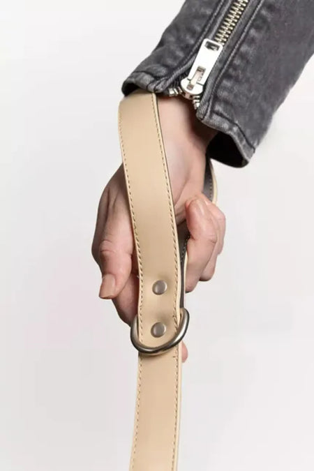 Champagne Fizz Vegan Leather Dog Leash - Aria the Fox showcasing handle