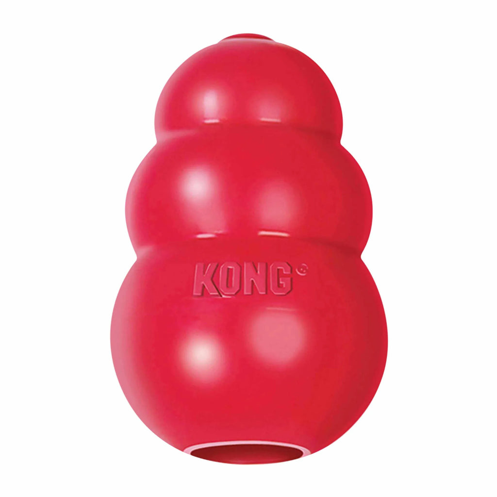 Classic Chew Toy for Dogs - XL - KONG