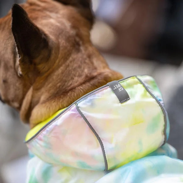 Dog wearing a colorful tie-dye bandana with a brand label.