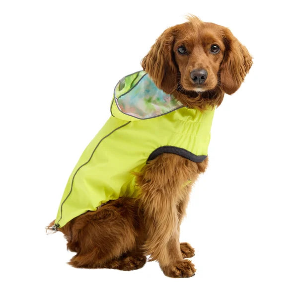 Dog wearing a bright green raincoat on a white background