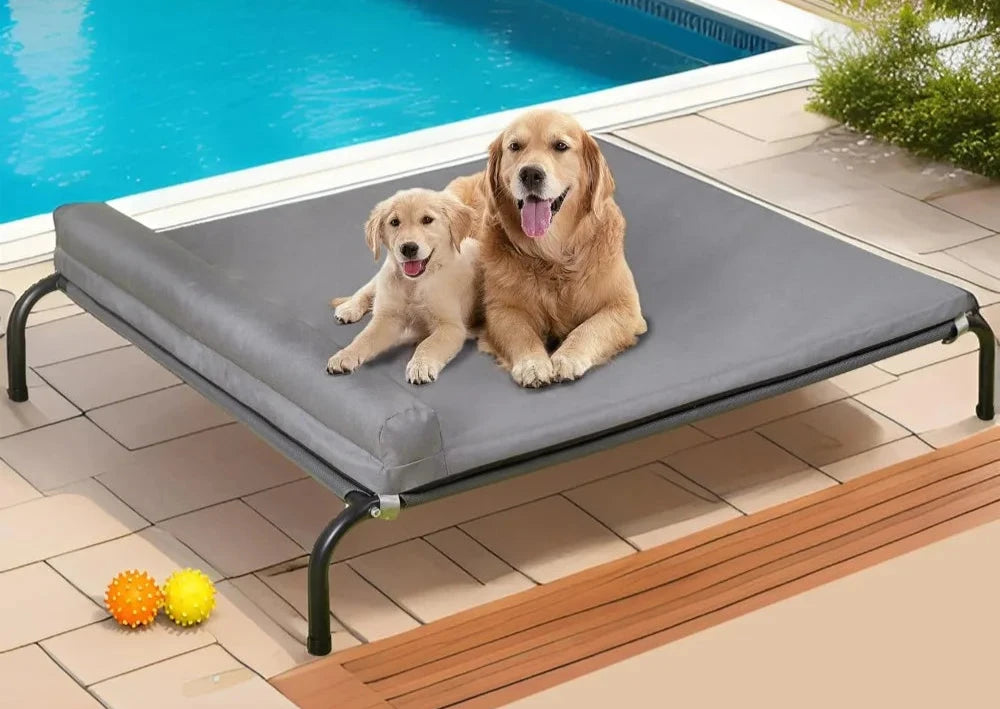 Cooling_Elevated_Dog_Bed_with_Bolster_showcase_image